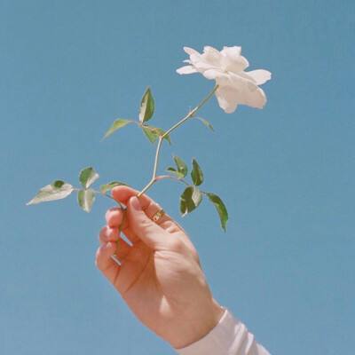 夜行人生追捕破解版下载