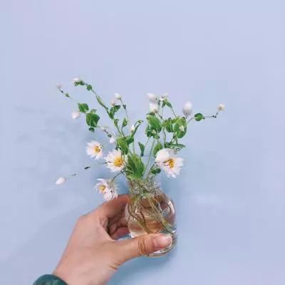 逍遥浪人游戏下载